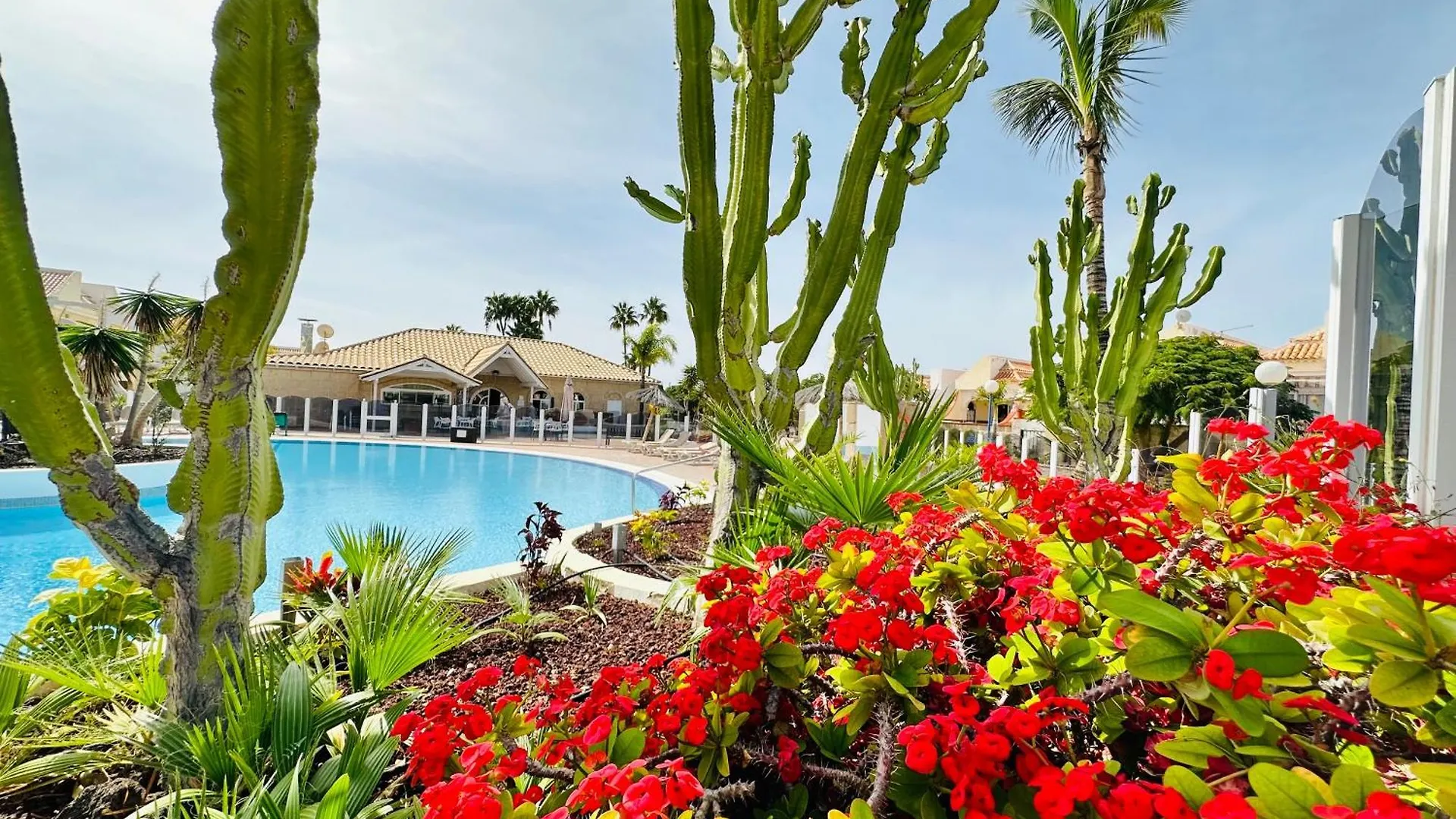 Palms Dream Vila San Miguel de Abona 0*,  Espanha